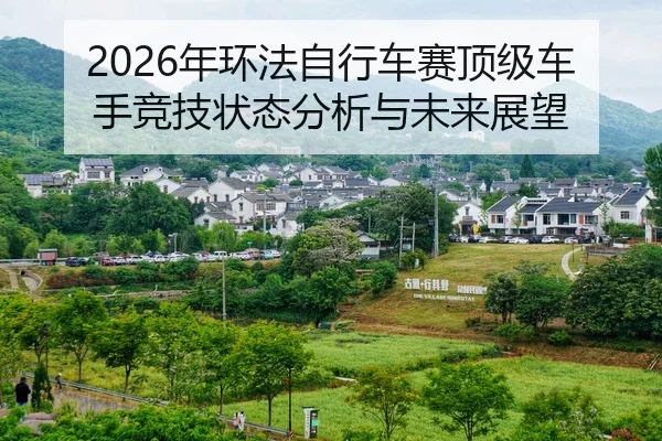 nian-huan-fa-zi-xing-che-sai-ding-ji-che-shou-jing-ji-zhuang-tai-fen-xi-yu-wei-lai-zhan-wang-2-194.jpg