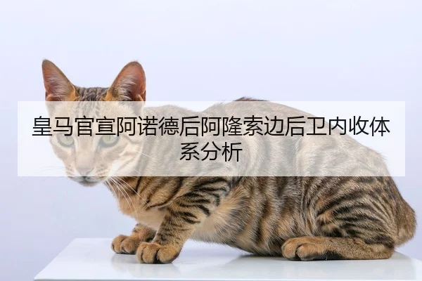皇马官宣阿诺德后阿隆索边后卫内收体系分析